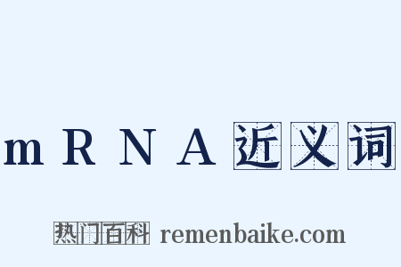 mRNA近义词是什么意思的图片